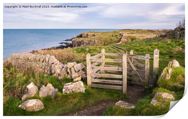 Anglesey Coastal Path Moelfre Print by Pearl Bucknall