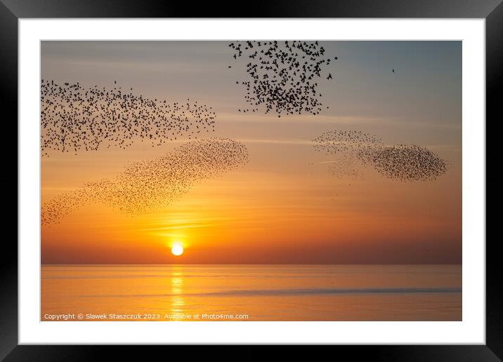 Starlings at Sundown Framed Mounted Print by Slawek Staszczuk