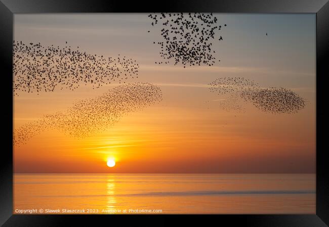 Starlings at Sundown Framed Print by Slawek Staszczuk