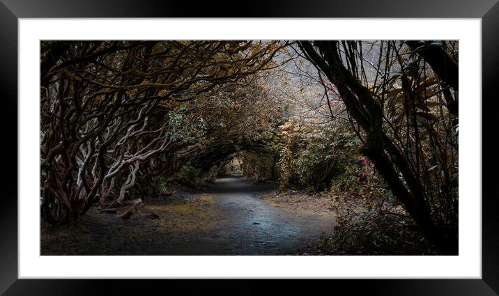 Craig y Nos Country park Framed Mounted Print by Leighton Collins