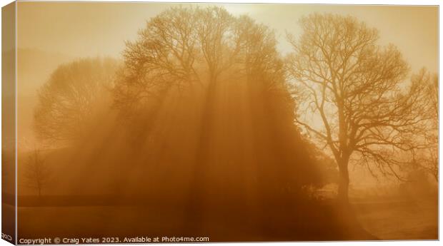 Misty Morning Sunrise Glebe Park. Canvas Print by Craig Yates