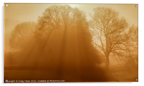 Misty Morning Sunrise Glebe Park. Acrylic by Craig Yates