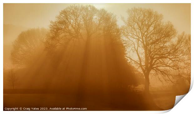 Misty Morning Sunrise Glebe Park. Print by Craig Yates
