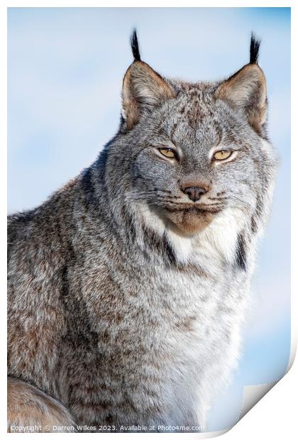 Canadian Lynx - Canada Print by Darren Wilkes