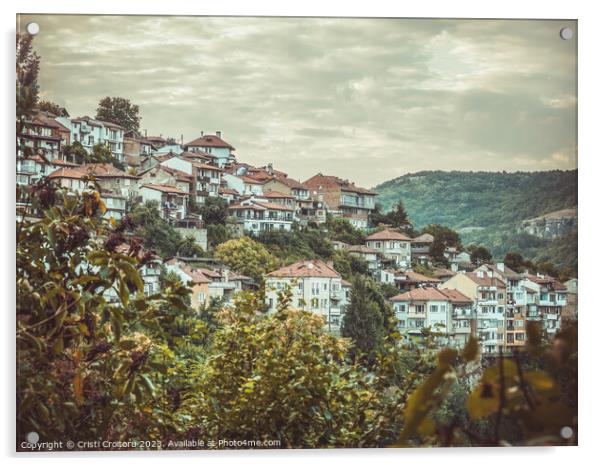 Houses in Veliko Tarnovo. Acrylic by Cristi Croitoru