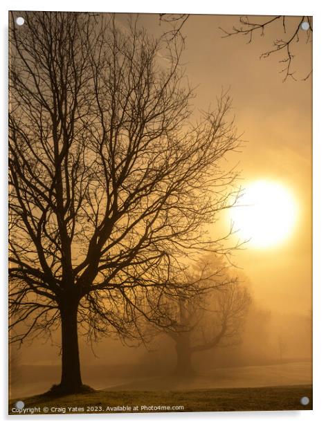 Misty Morning Sunrise Glebe Park. Acrylic by Craig Yates