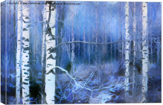 Enchanted Winter Forest  Canvas Print by Taina Sohlman
