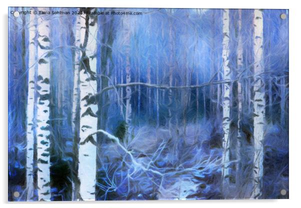 Enchanted Winter Forest  Acrylic by Taina Sohlman