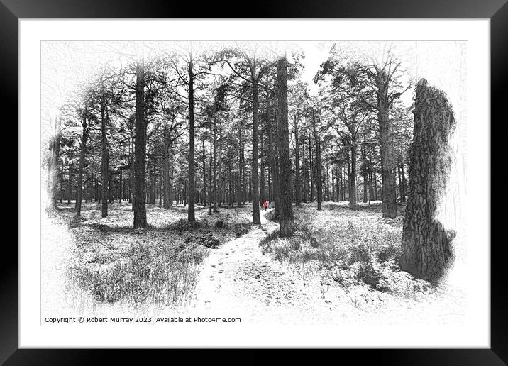 Solitude in a Winter Wonderland Framed Mounted Print by Robert Murray