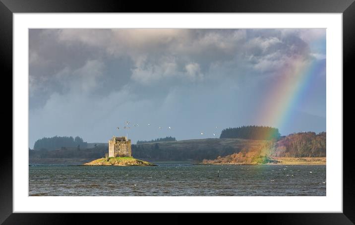 Castle Stalker flyby ducks and a rainbow Framed Mounted Print by John Finney