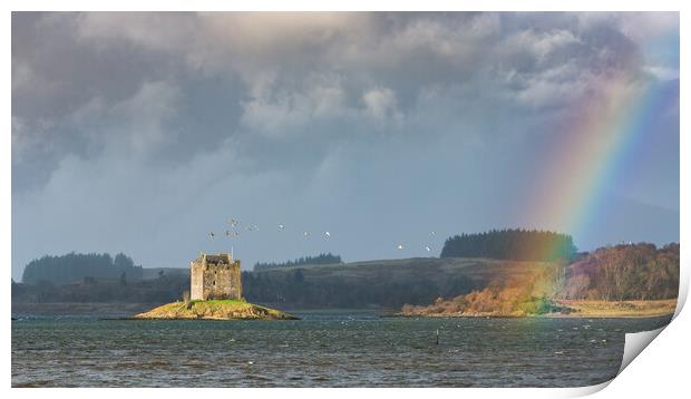 Castle Stalker flyby ducks and a rainbow Print by John Finney