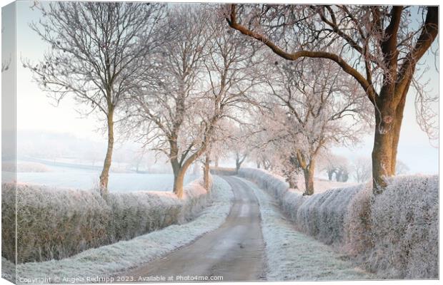 Quiet country lane in the frost Canvas Print by Angela Redrupp