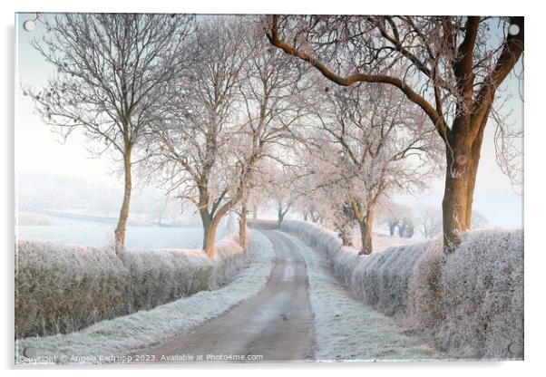 Quiet country lane in the frost Acrylic by Angela Redrupp