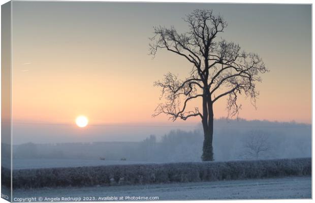Misty, frosty sunrise Canvas Print by Angela Redrupp