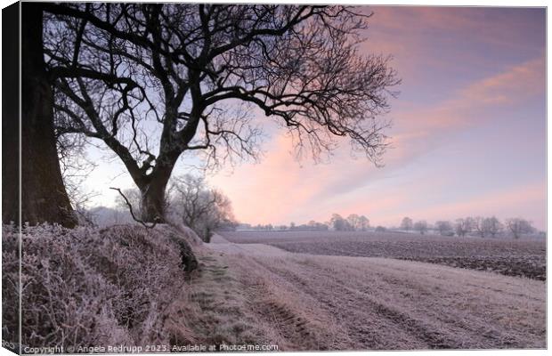 Clouds over a ploughed frosted field at sunrise, Northamptonshire Canvas Print by Angela Redrupp