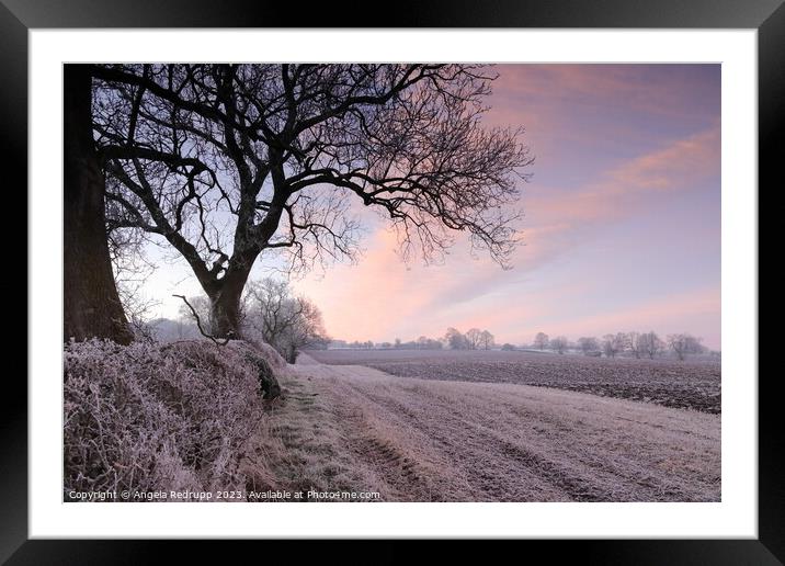 Clouds over a ploughed frosted field at sunrise, Northamptonshire Framed Mounted Print by Angela Redrupp