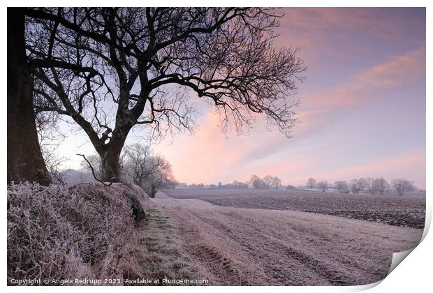 Clouds over a ploughed frosted field at sunrise, Northamptonshire Print by Angela Redrupp