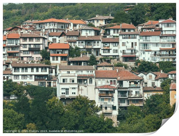 Houses in Veliko Tarnovo Bulgaria Print by Cristi Croitoru