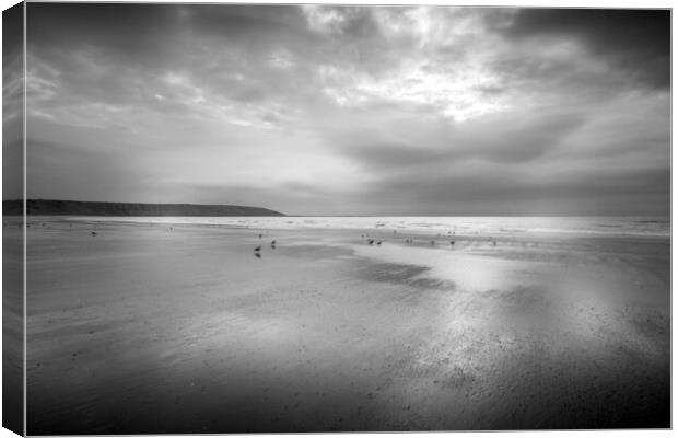 Moody Seagulls on Filey Beach Canvas Print by Tim Hill