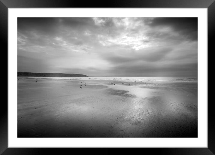 Moody Seagulls on Filey Beach Framed Mounted Print by Tim Hill