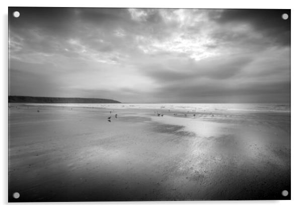 Moody Seagulls on Filey Beach Acrylic by Tim Hill