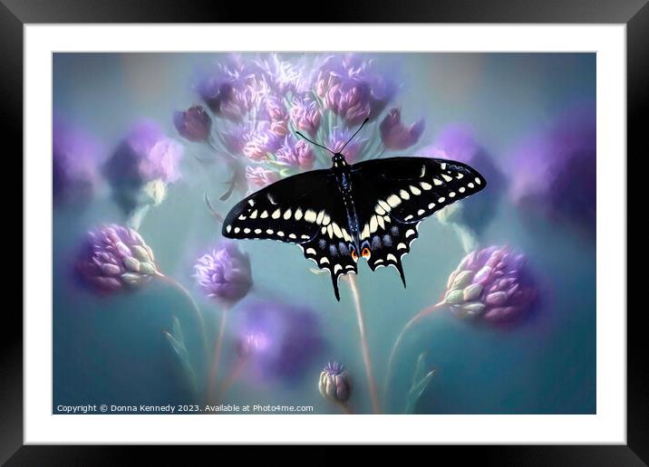 Black Swallowtail Framed Mounted Print by Donna Kennedy