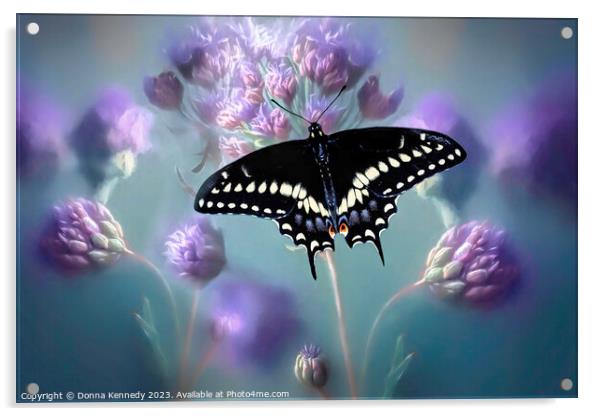 Black Swallowtail Acrylic by Donna Kennedy