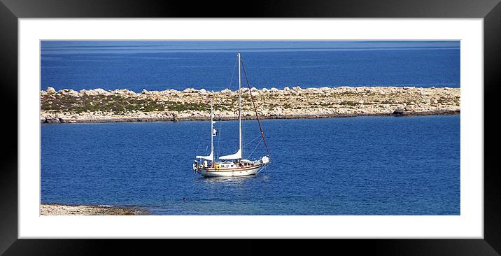 Sail boat Framed Mounted Print by Tom Gomez