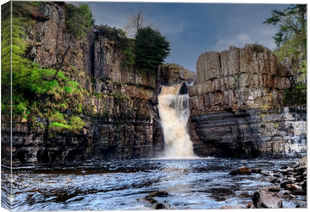 High Force Teesdale Canvas Print by Steve Smith