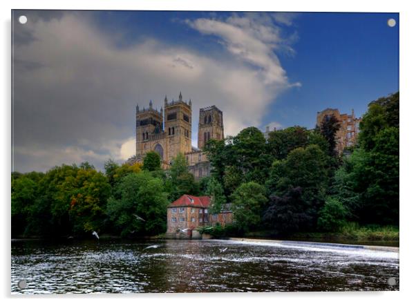 River Tess Durham Acrylic by Steve Smith