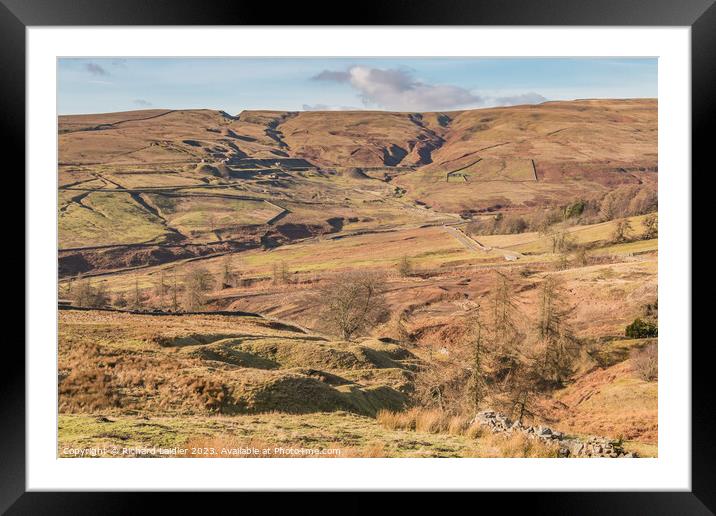 Coldberry Mine and Marl Beck Gutter, Teesdale Framed Mounted Print by Richard Laidler
