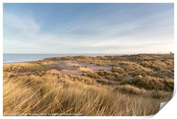 Wallasey Sand Dunes Print by Philip Brookes