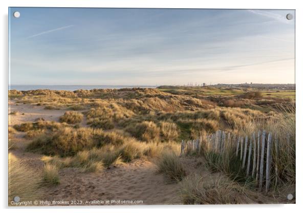 Wallasey Sand Dunes Acrylic by Philip Brookes