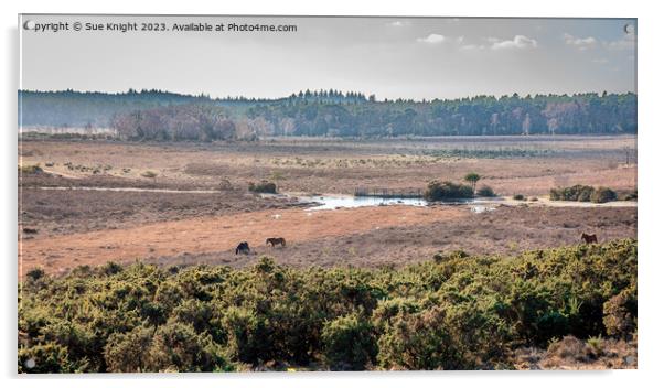 View across the New Forest Acrylic by Sue Knight