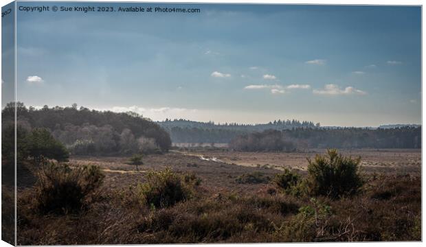 View from Dibden Inclosure, New Forest Canvas Print by Sue Knight