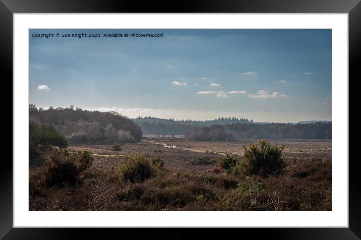 View from Dibden Inclosure, New Forest Framed Mounted Print by Sue Knight