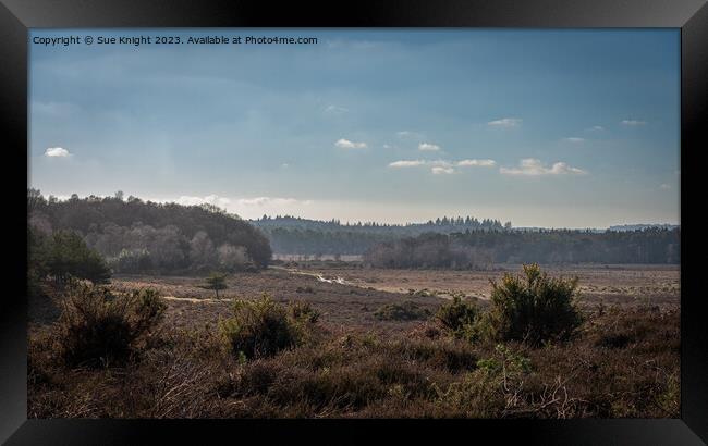 View from Dibden Inclosure, New Forest Framed Print by Sue Knight