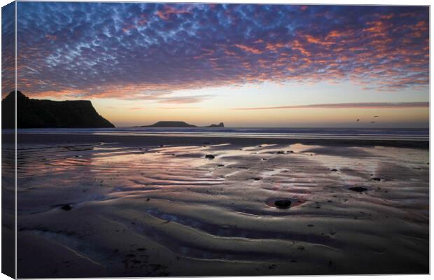 Dusk at Worms Head Canvas Print by Leighton Collins