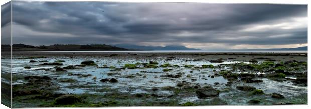 Isle of Bute study V Canvas Print by Steve Taylor