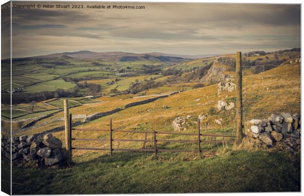 Ingleborourough and Smearsett Scar from langcliffe in the Yorkshire dales Canvas Print by Peter Stuart
