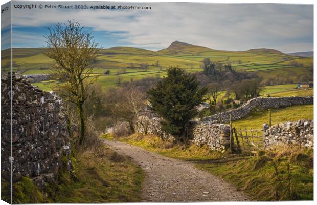 Goat Scar Lane above Stainforth in Craven in North Yorkshire Canvas Print by Peter Stuart