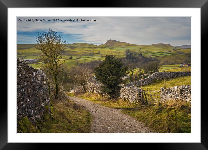 Goat Scar Lane above Stainforth in Craven in North Yorkshire Framed Mounted Print by Peter Stuart