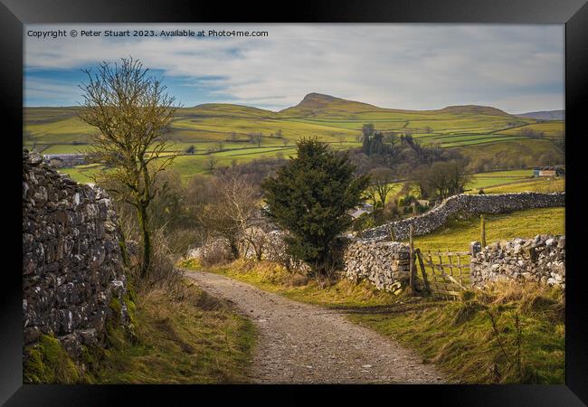 Goat Scar Lane above Stainforth in Craven in North Yorkshire Framed Print by Peter Stuart