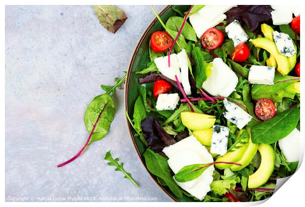 Fresh vegetable salad with greens and mozzarella Print by Mykola Lunov Mykola