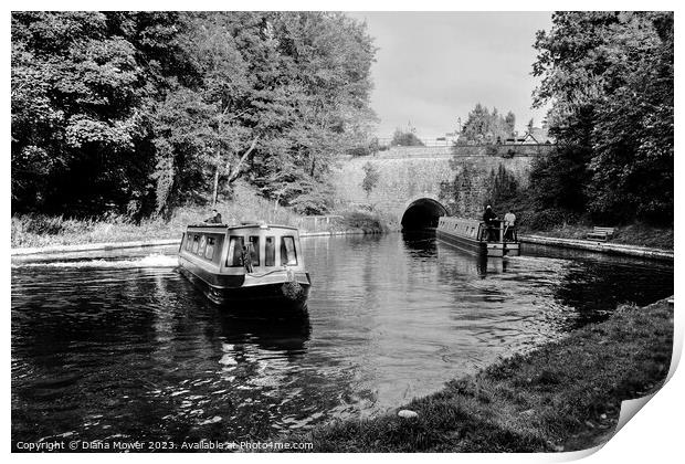 Chirk Canal Tunnel Monochrome Print by Diana Mower