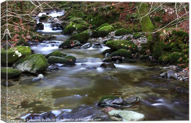 Stock Ghyll Force, Ambleside Canvas Print by Catherine Fowler