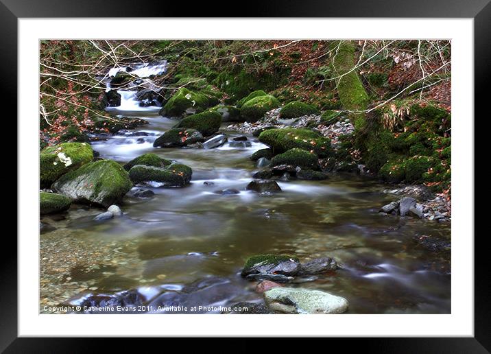 Stock Ghyll Force, Ambleside Framed Mounted Print by Catherine Fowler