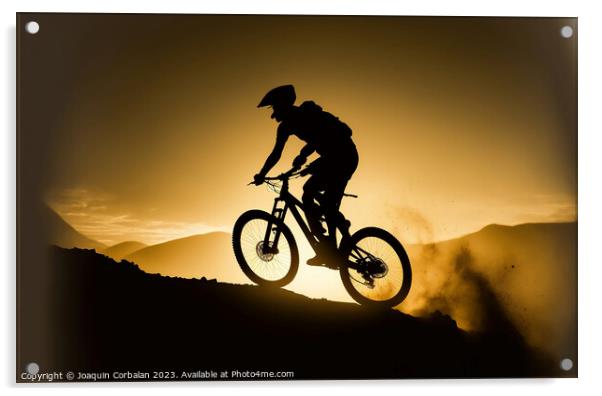 A mountain biker speeding down a ramp, silhouetted Acrylic by Joaquin Corbalan