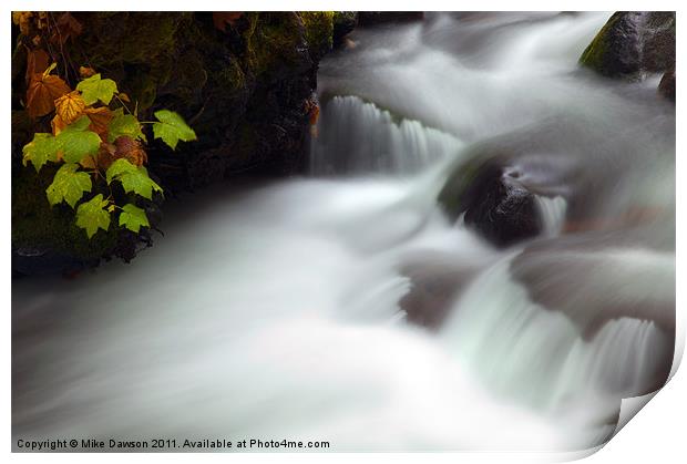 Seasons Rush By Print by Mike Dawson