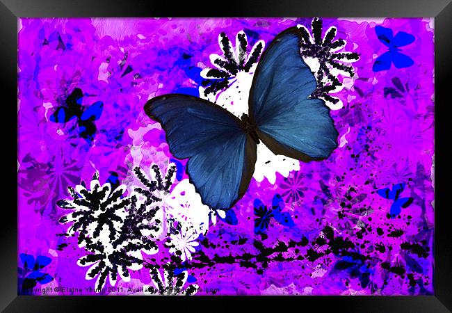 Butterfly Abstract Art Framed Print by Elaine Young